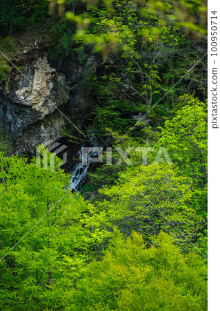 Ryujin Falls seen in the fresh green mountains 100950714
