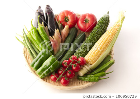 收集白色背景的夏季蔬菜 收集白色背景的夏季蔬菜 100950729