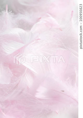 裝飾鳥羽毛染成淡粉色 100950823