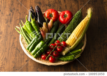 Summer vegetables gathering Summer vegetables gathering 100951050