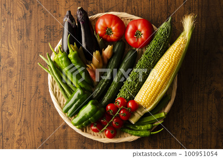 Summer vegetables gathering Summer vegetables gathering 100951054