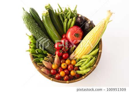 Summer vegetables gathering white background 100951309