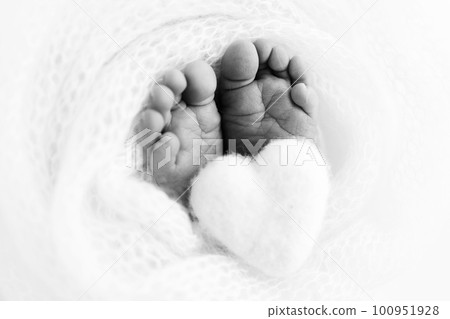 Soft feet of a new born in a wool blanket. Close up of toes, heels and feet of a newborn. Knitted heart in the legs of baby. The tiny foot of a newborn baby. Macro photography. Black and white. Soft feet of a new born in a wool blanket. Close up of toes, heels and feet of a newborn. Knitted heart in the legs of baby. The tiny foot of a newborn baby. Macro photography. Black and white. 100951928