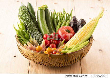 Summer vegetables gathering 100952029