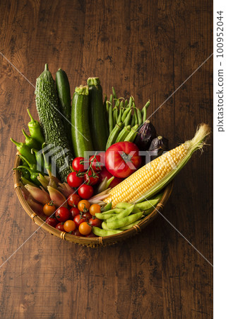 Summer vegetables gathering 100952044