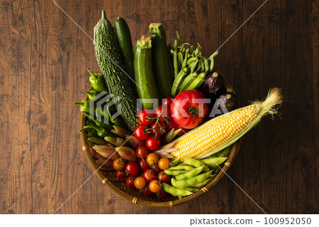 夏季蔬菜聚會 100952050