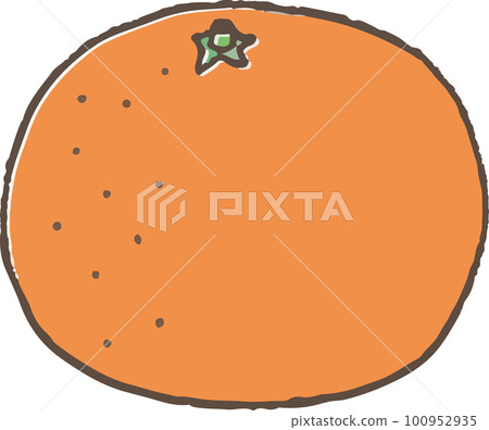 cute mandarin orange in a simple hand drawn style 100952935