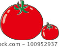 Simple hand drawn style cute tomato illustration 100952937