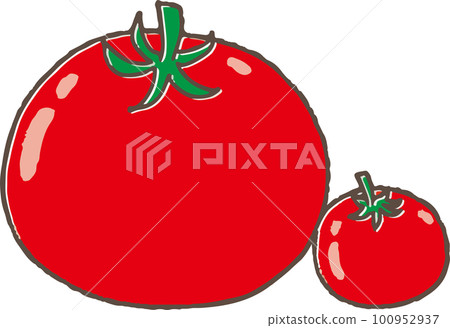 Simple hand drawn style cute tomato illustration 100952937