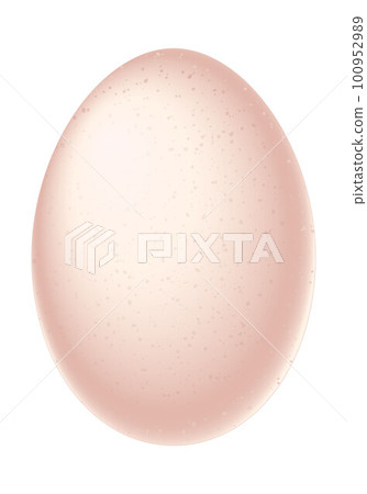 Egg - illustration on white background Egg - illustration on white background 100952989