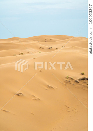 Bright blue cloudy sky over the yellow desert of Kyzylkum Kazakhstan. Rainy weather in the desert. Beautiful landscape of the desert of Central Asia 100953267