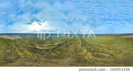 Panorama 360 of a blooming desert in spring from a bird's eye view. Sand dunes covered with green grass after rain 100953286