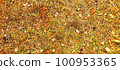 秋天落葉的地方 100953365