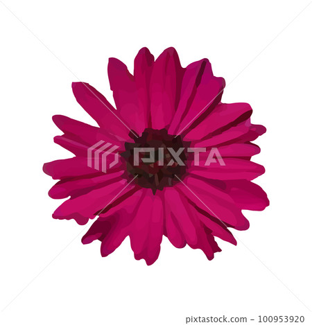 Vector Red gerbera flower is heart shaped isolated on white background with clipping path. Vector Red gerbera flower is heart shaped isolated on white background with clipping path. 100953920