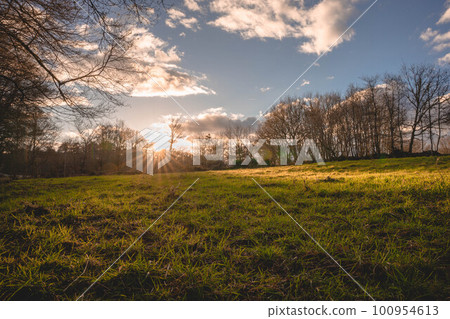 Meadow at sunset 100954613