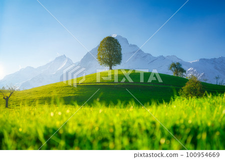 Fields and meadows. Mountain landscape. Dark sky. Natural landscape in summer time.  100954669