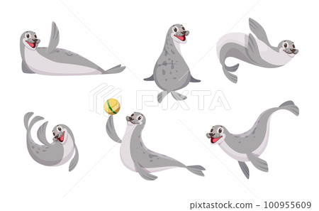 Sea animals. Polar Seal in action poses Antarctic wild animal exact vector cartoon set 100955609