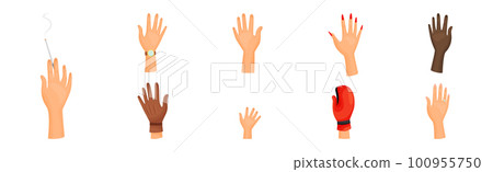 Different Human Right and Left Hands with Palm Raised Up Vector Set Different Human Right and Left Hands with Palm Raised Up Vector Set 100955750