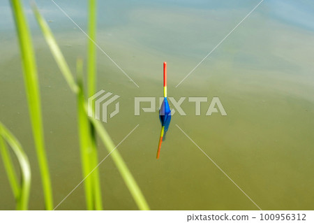 A bobber in the water. Fishing on the lake, fishing background 100956312