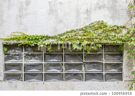 Detail of glass tiles in abandoned house, Kanazawa, Japan. 100956958