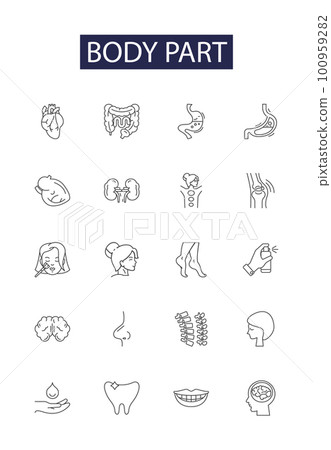 Body part line vector icons and signs. organ, torso, joint, muscle, skull, ribs, arm, leg outline vector illustration set Body part line vector icons and signs. organ, torso, joint, muscle, skull, ribs, arm, leg outline vector illustration set 100959282