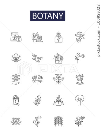 Botany line vector icons and signs. Photosynthesis, Reproduction, Taxonomy, Genetics, Ecological, Cultivation, Bryophytes, Mycology outline vector illustration set Botany line vector icons and signs. Photosynthesis, Reproduction, Taxonomy, Genetics, Ecological, Cultivation, Bryophytes, Mycology outline vector illustration set 100959328