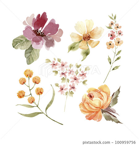 Botanical set of watercolor illustrations flowers and plants on a white background. hand painted . 100959756