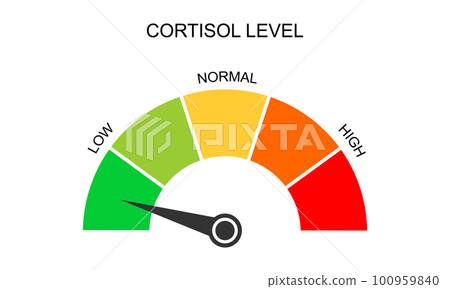 Cortisol meter gauge. Body stress response levels. Round chart with arrow from low to high isolated on white background. Vector flat illustration Cortisol meter gauge. Body stress response levels. Round chart with arrow from low to high isolated on white background. Vector flat illustration 100959840