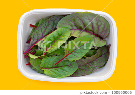 Swiss chard on yellow background. Baby leaf swiss chard 100960006