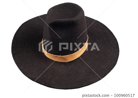 European Renaissance men's vintage hat 100960517