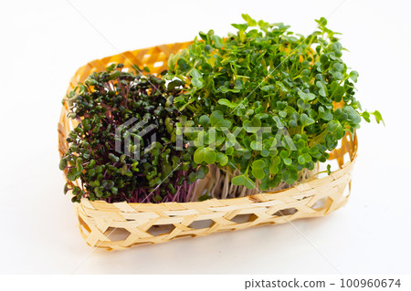 Kale sprouts with red cabbage sprouts on white background. Kale sprouts with red cabbage sprouts on white background. 100960674