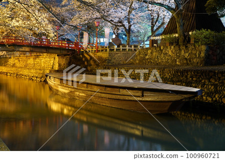Cherry blossoms at night along the Suimon River in Ogaki City Cherry blossoms at night along the Suimon River in Ogaki City 100960721