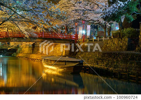 Cherry blossoms at night along the Suimon River in Ogaki City Cherry blossoms at night along the Suimon River in Ogaki City 100960724