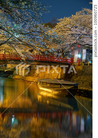 Cherry blossoms at night along the Suimon River in Ogaki City Cherry blossoms at night along the Suimon River in Ogaki City 100960725