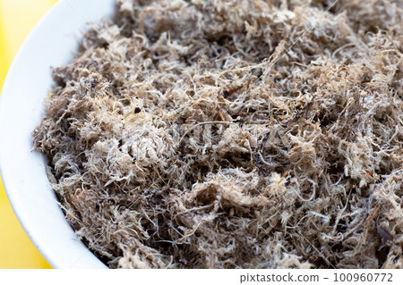 Dry sphagnum moss. Help plants retain moisture Dry sphagnum moss. Help plants retain moisture 100960772