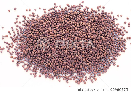 Poppe, Decorative pebble for cactus garden Poppe, Decorative pebble for cactus garden 100960775