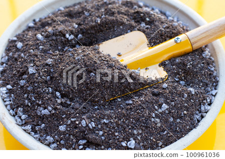 Potting soil mixed for cactus 100961036