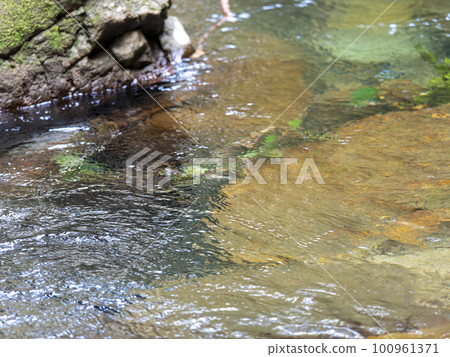 Mountain stream scenery with clear water 100961371