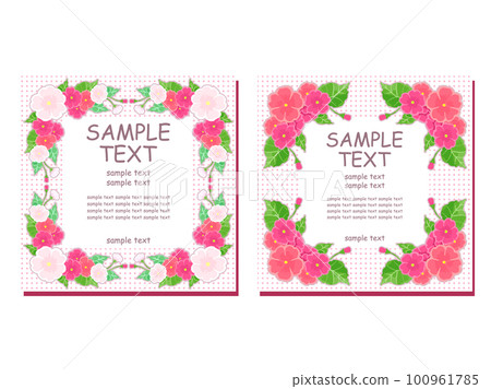 華麗的花卉框架集，手繪報春花 100961785