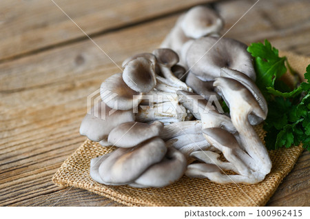 Fresh grey oyster mushroom on wooden background, fresh raw oyster mushroom for cooking food 100962415