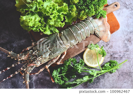 spiny lobster seafood on wooden, fresh lobster or rock lobster with herb and spices lemon parsley on dark background, raw spiny lobster for cooking food or seafood market 100962467