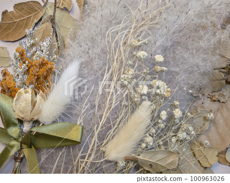 Background material Dried flowers in chic colors 100963026