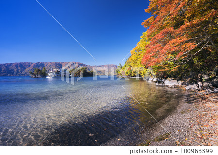 Autumn foliage on Lake Towada and sightseeing boats 100963399