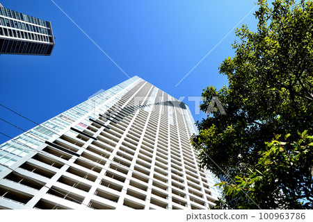 THE TOKYO TOWERS SEA TOWER and other high-rise apartments in the Kachidoki/Tsukishima area THE TOKYO TOWERS SEA TOWER and other high-rise apartments in the Kachidoki/Tsukishima area 100963786