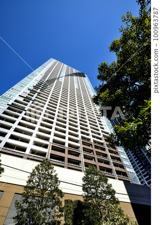 THE TOKYO TOWERS SEA TOWER 和勝哄/月島地區的其他高層公寓 THE TOKYO TOWERS SEA TOWER 和勝哄/月島地區的其他高層公寓 100963787