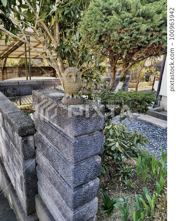 放置在門柱上的石貓頭鷹雕像 100963942