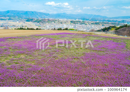 Photokenosa和天空中的城堡鎮 100964174