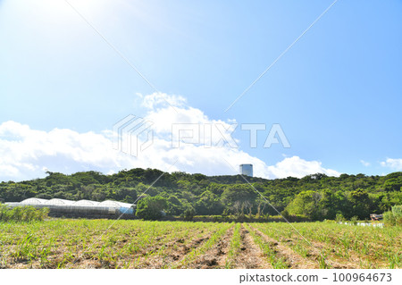 A view of the Yozadake area from the north (Itoman City, Okinawa Prefecture) [February 2023] 100964673