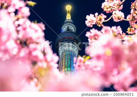 《Tokyo》 Sky Tree and Kawazu Sakura ・ Spring Tokyo 100964851