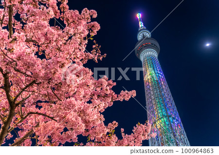 《Tokyo》 Sky Tree and Kawazu Sakura ・ Spring Tokyo 《Tokyo》 Sky Tree and Kawazu Sakura ・ Spring Tokyo 100964863